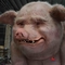 Kundenspezifische animatronische realistische Schweine im Erwachsenenalter für Einkaufszentren